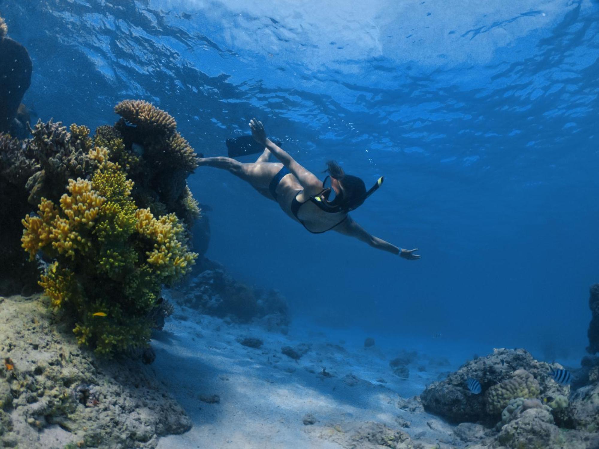 Mantaray Island Resort Nanuya Balavu Island Екстериор снимка