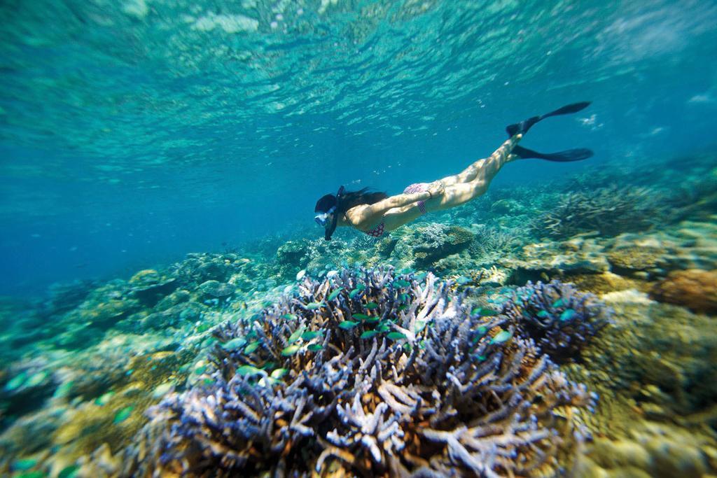 Mantaray Island Resort Nanuya Balavu Island Екстериор снимка