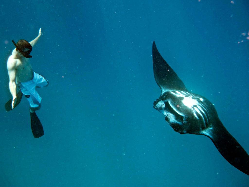 Mantaray Island Resort Nanuya Balavu Island Екстериор снимка